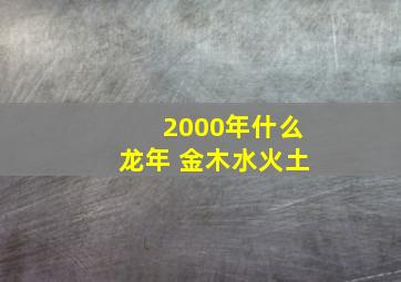 2000年什么龙年 金木水火土